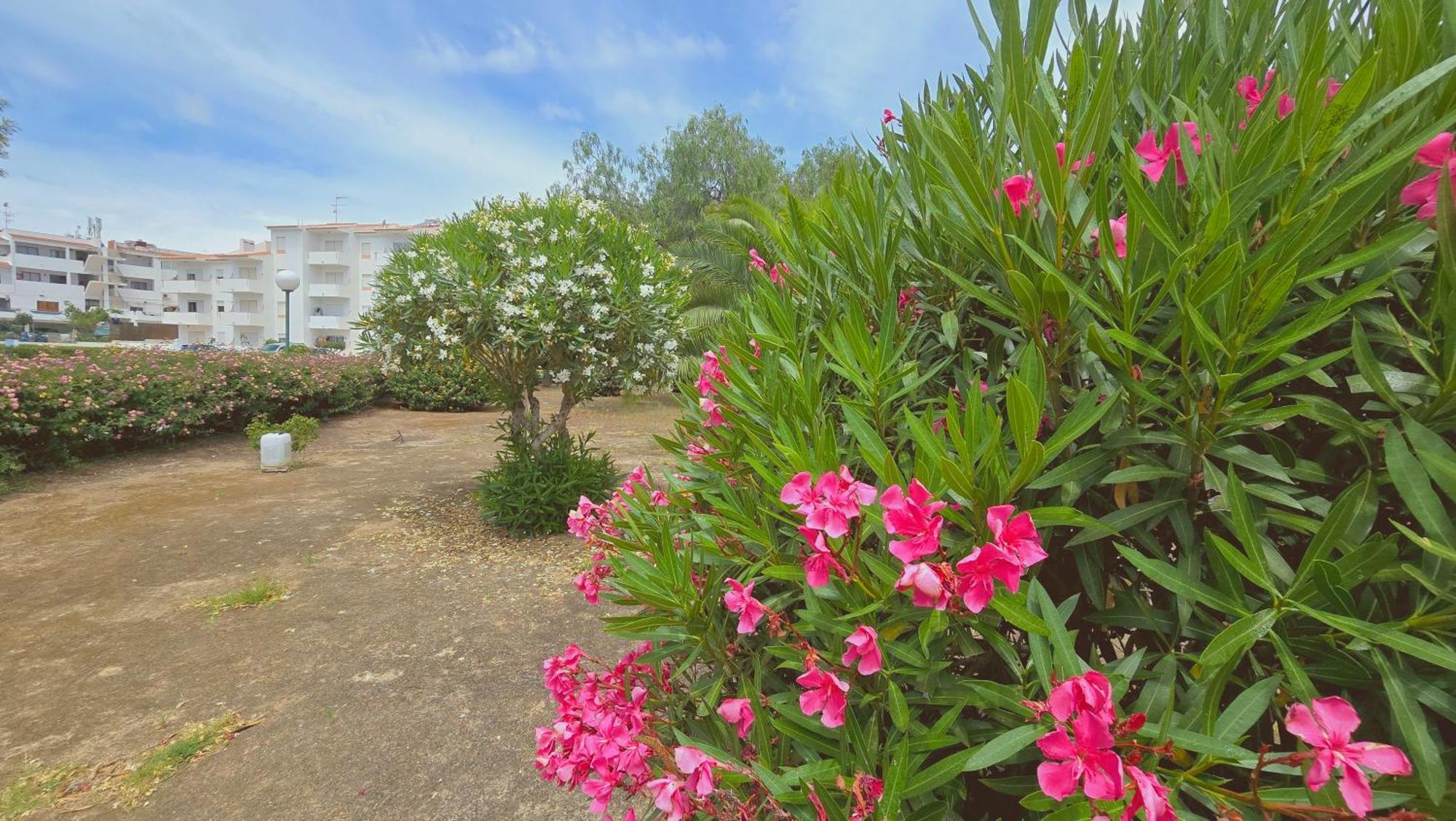 Praia Eulalia With Pool And 5 Minutes From The Beach البوفيرا المظهر الخارجي الصورة