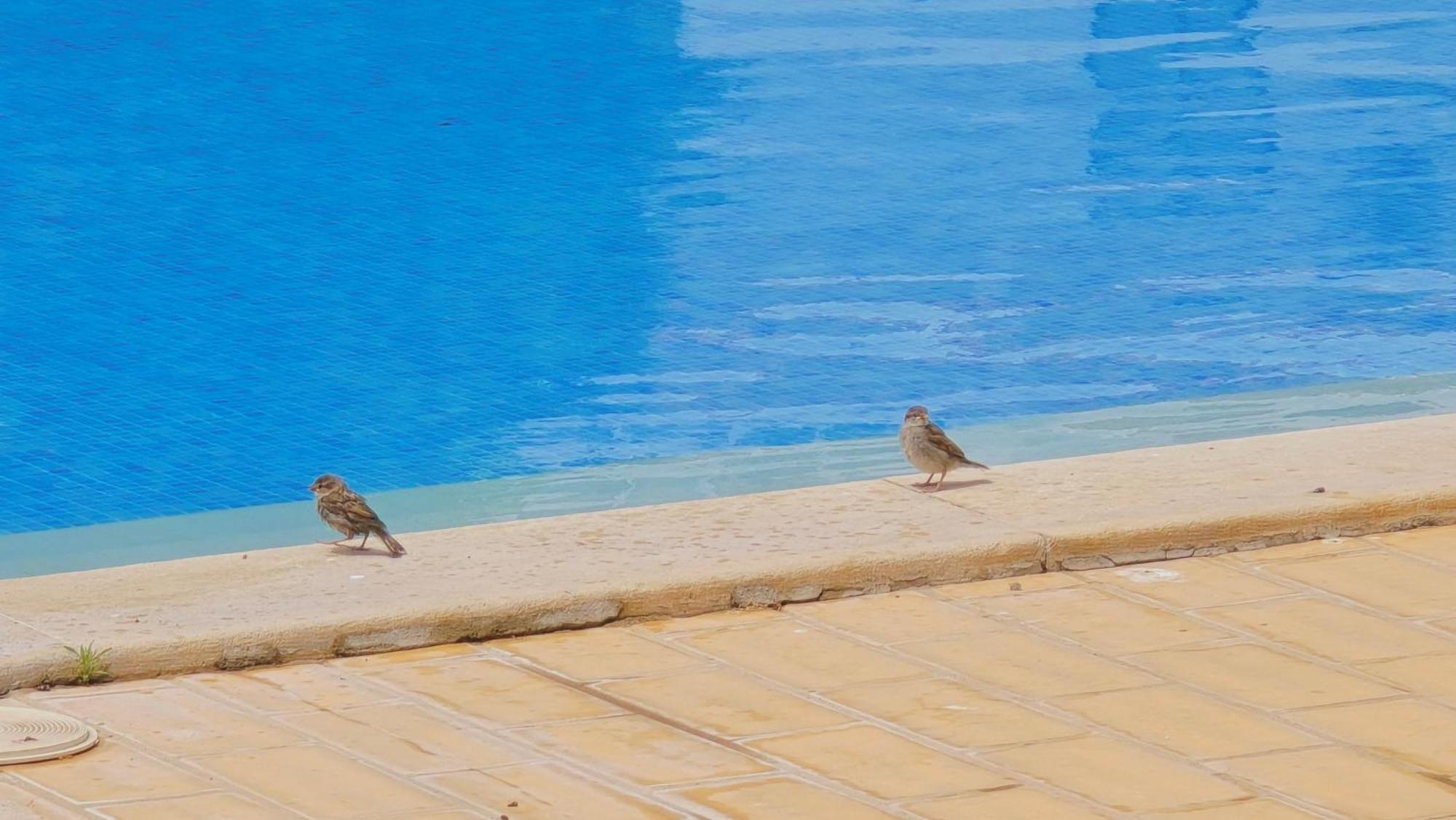 Praia Eulalia With Pool And 5 Minutes From The Beach البوفيرا المظهر الخارجي الصورة