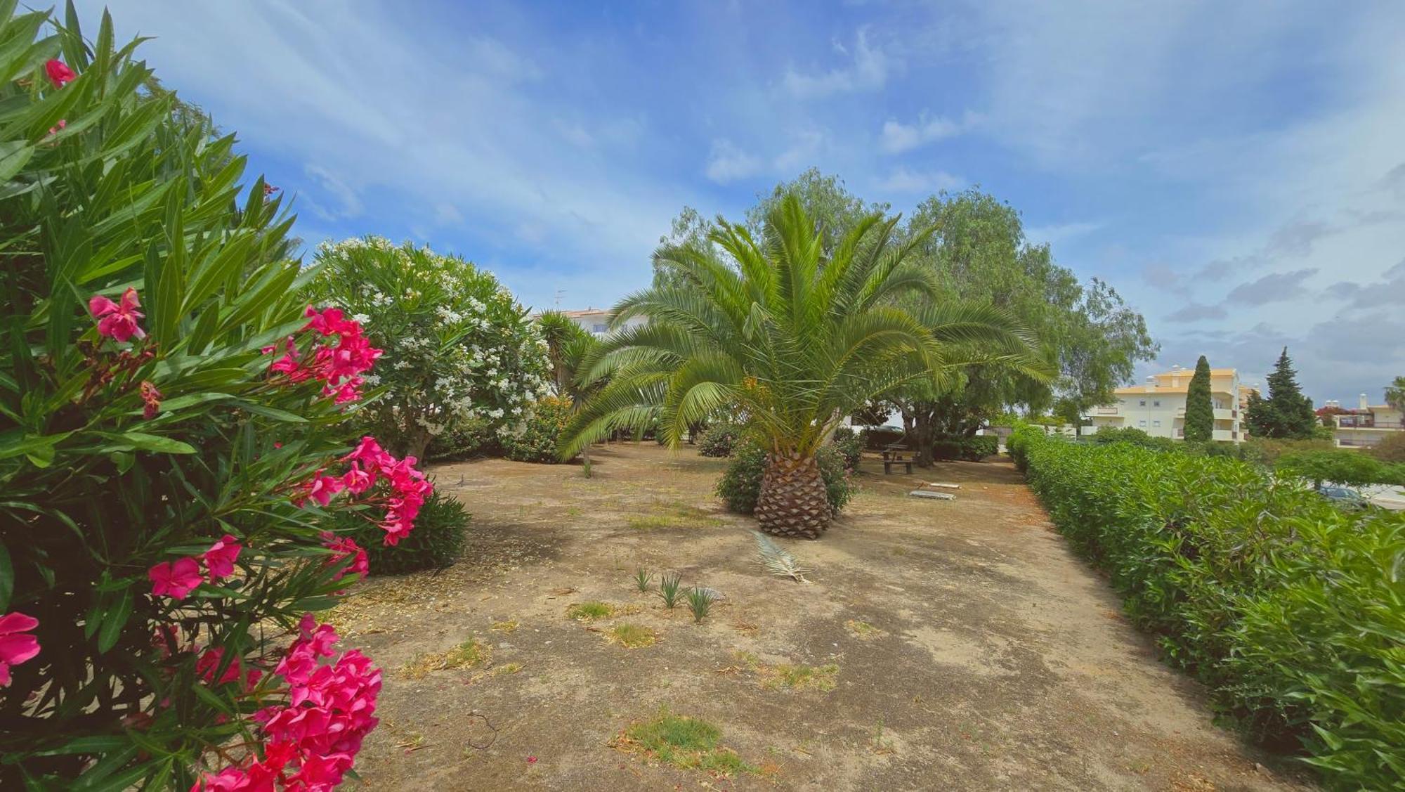 Praia Eulalia With Pool And 5 Minutes From The Beach البوفيرا المظهر الخارجي الصورة