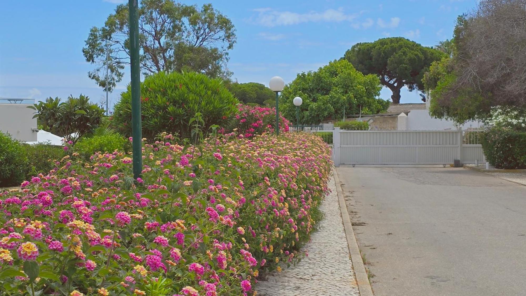 Praia Eulalia With Pool And 5 Minutes From The Beach البوفيرا المظهر الخارجي الصورة